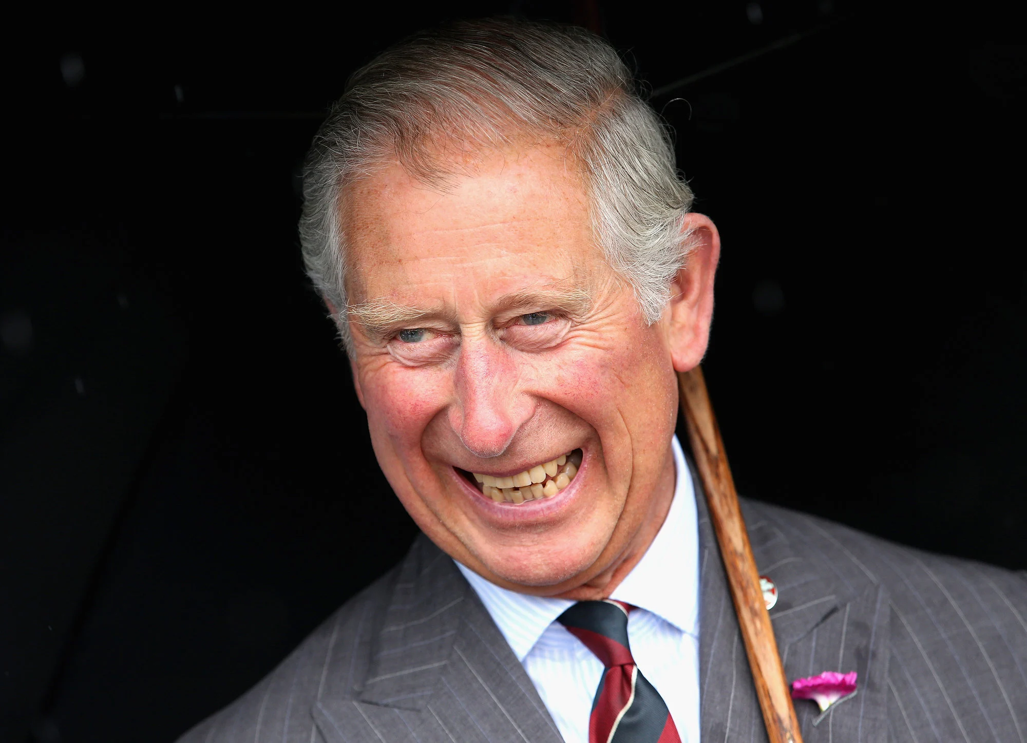 Prince Charles Wanted to Be ... WHAT?