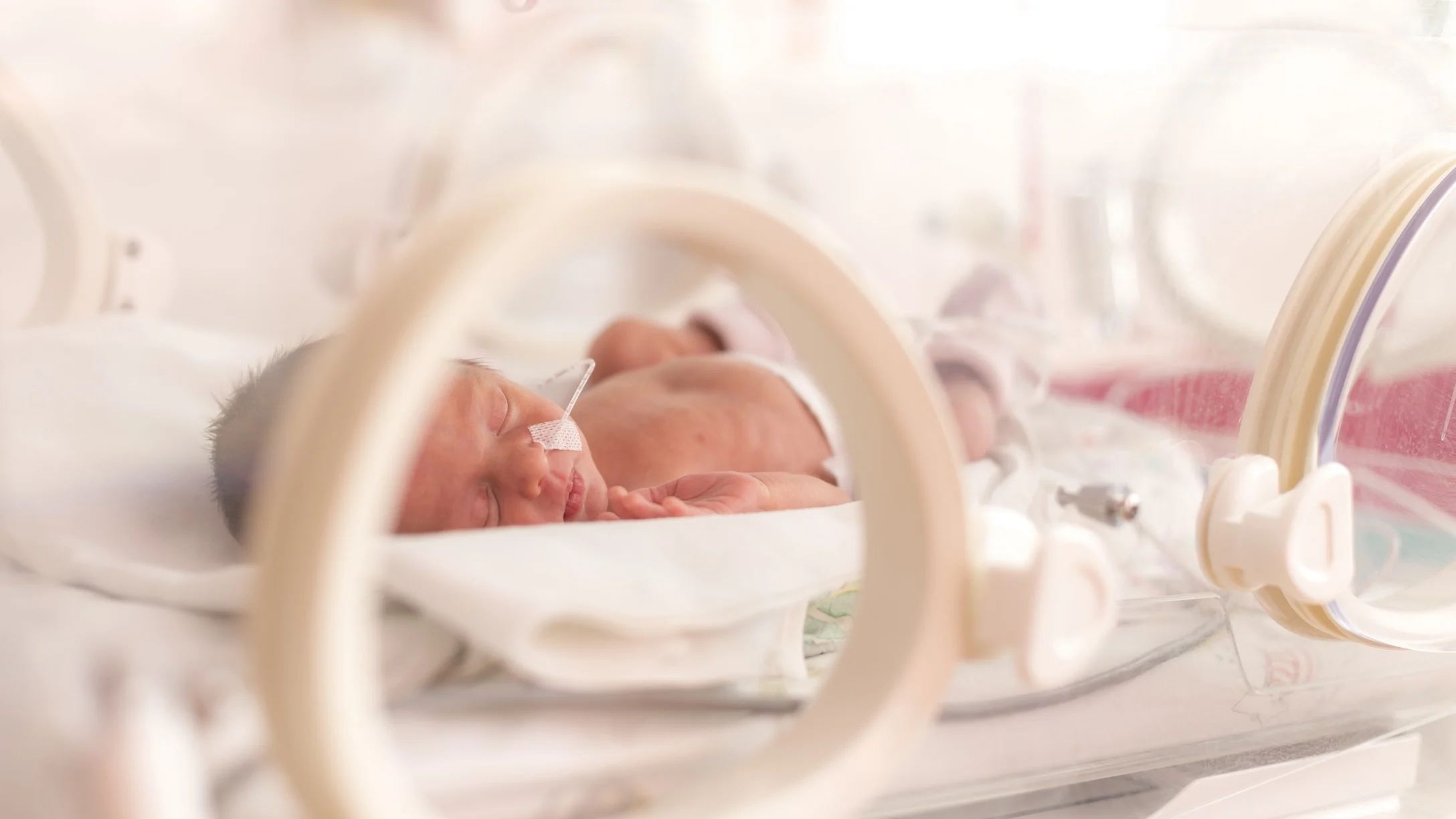 premature-baby-nicu