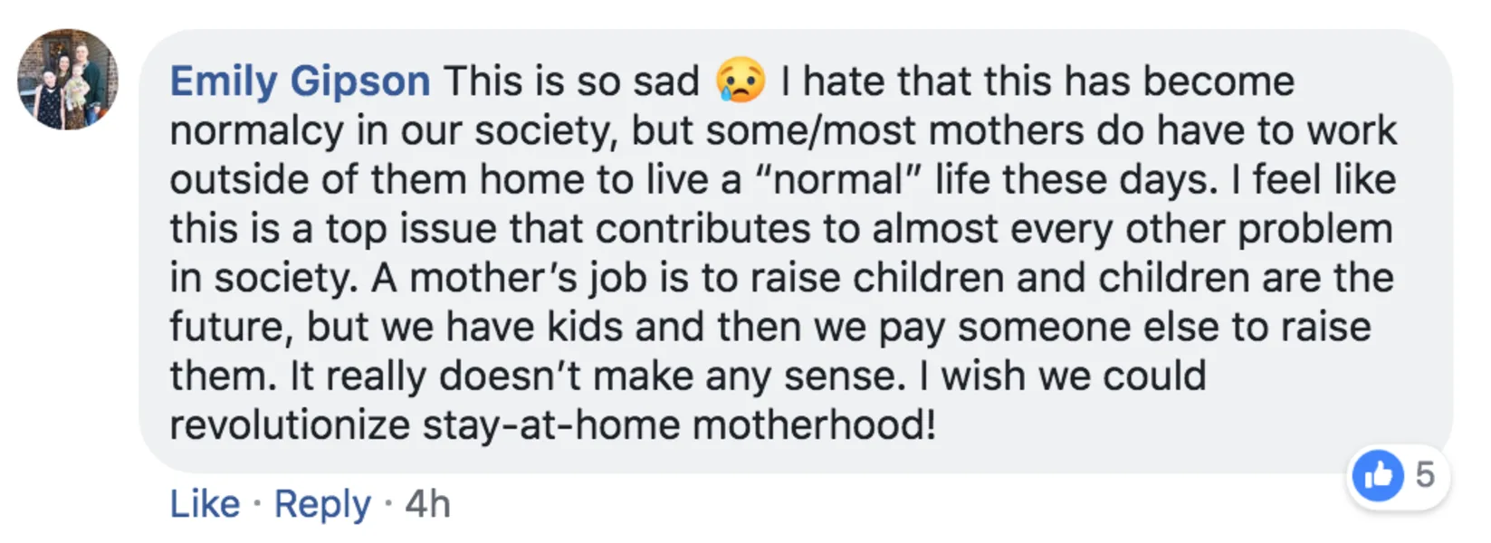 But others were actually like, oh yes, thank you, working moms areruining the world.